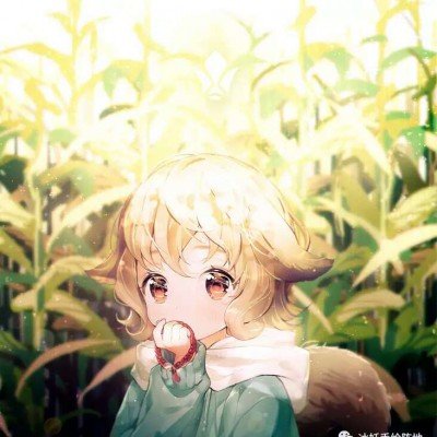小狗撞汽车究竟谁该赔钱？法院判了